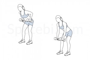 dumbbell-bent-over-row-exercise-illustration